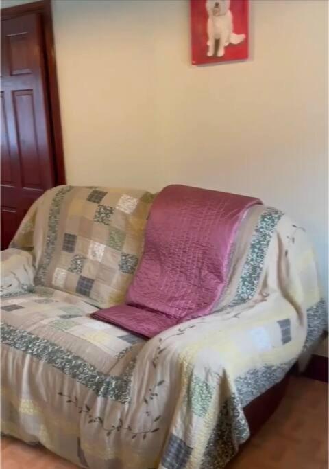 Annie Dee'S Guest Accommodation Ballygowan Exterior foto