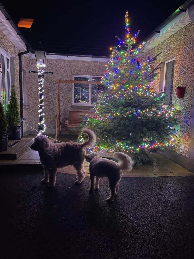 Annie Dee'S Guest Accommodation Ballygowan Exterior foto